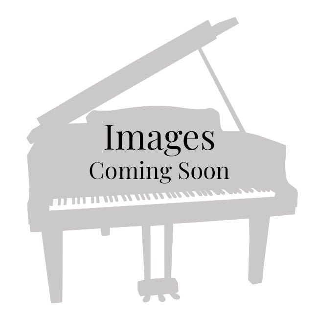 Image for Steinway & Sons Model B Grand