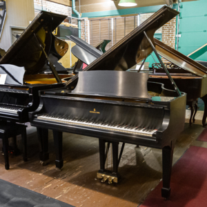 Image forSteinway & Sons M