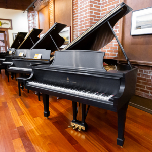Image forSteinway & Sons L