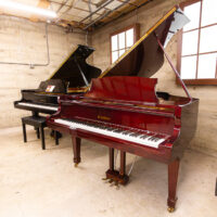 Kawai grand pianos showcase, featuring polished ebony and mahogany finishes, at Classic Pianos Portland showroom.