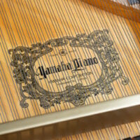 Yamaha DC3 Disklavier Player Grand