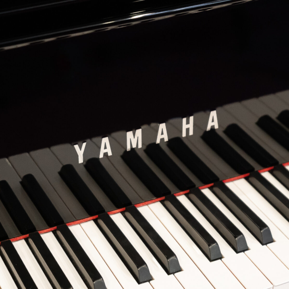 Yamaha N1X Hybrid Avant Grand