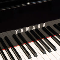 Yamaha N1X Hybrid Avant Grand