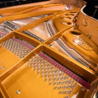Sauter Model 220 Grand