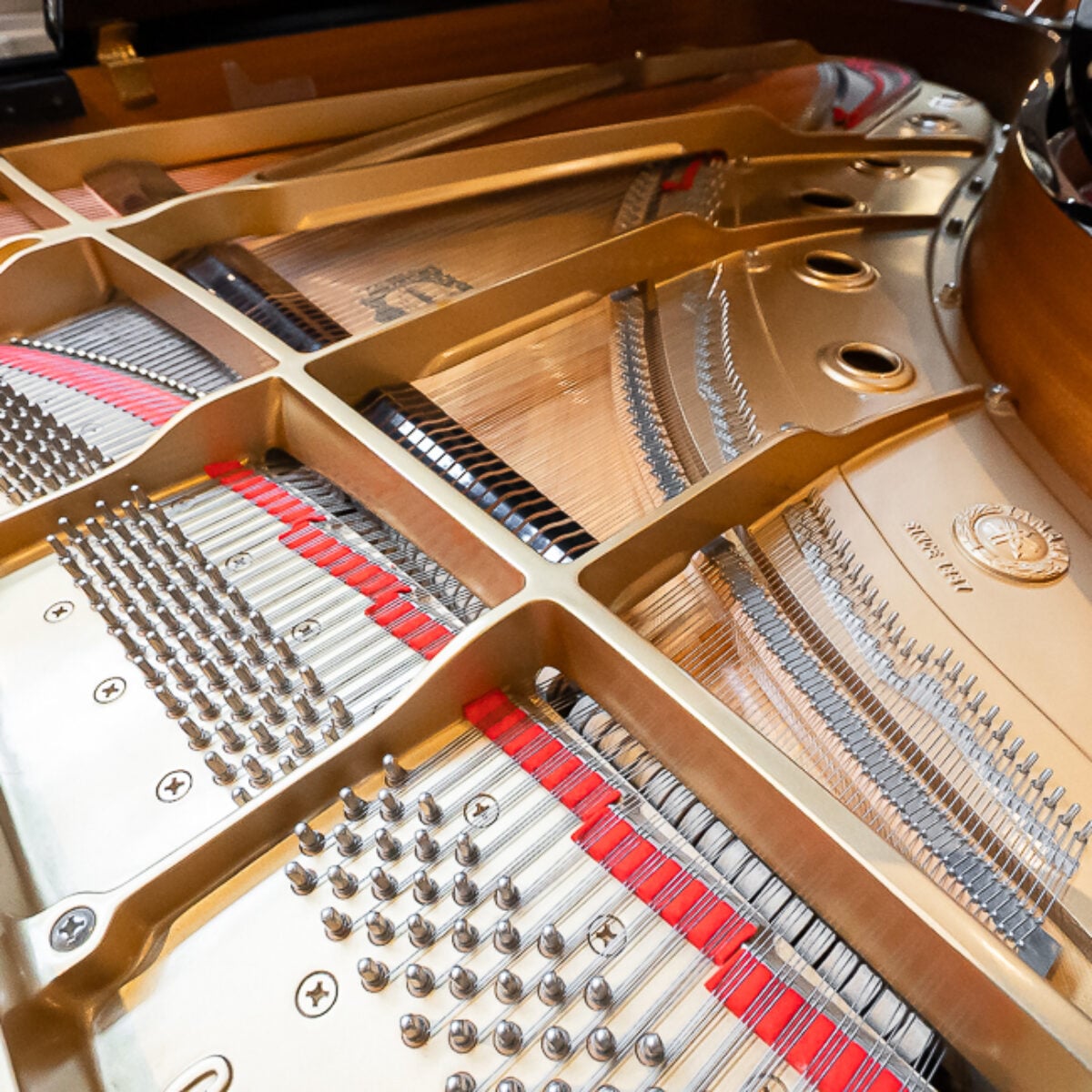 Yamaha C5 Conservatory Grand
