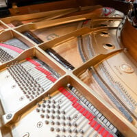 Yamaha C5 Conservatory Grand