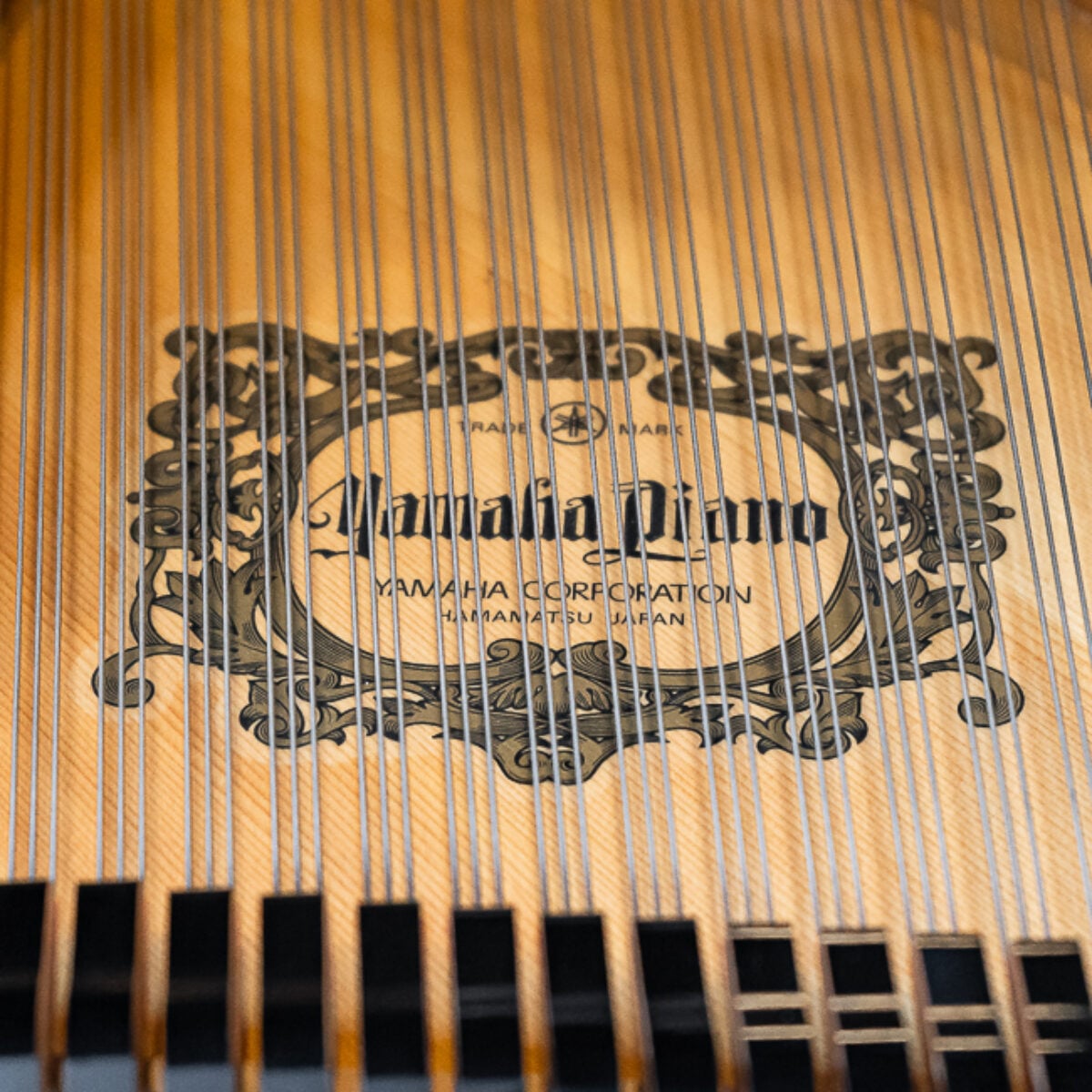 Yamaha C5 Conservatory Grand