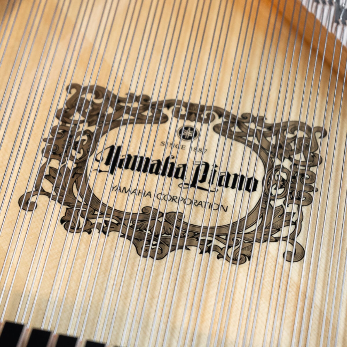 Yamaha C3X-TransAcoustic Grand