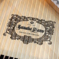 Yamaha C3X-TransAcoustic Grand