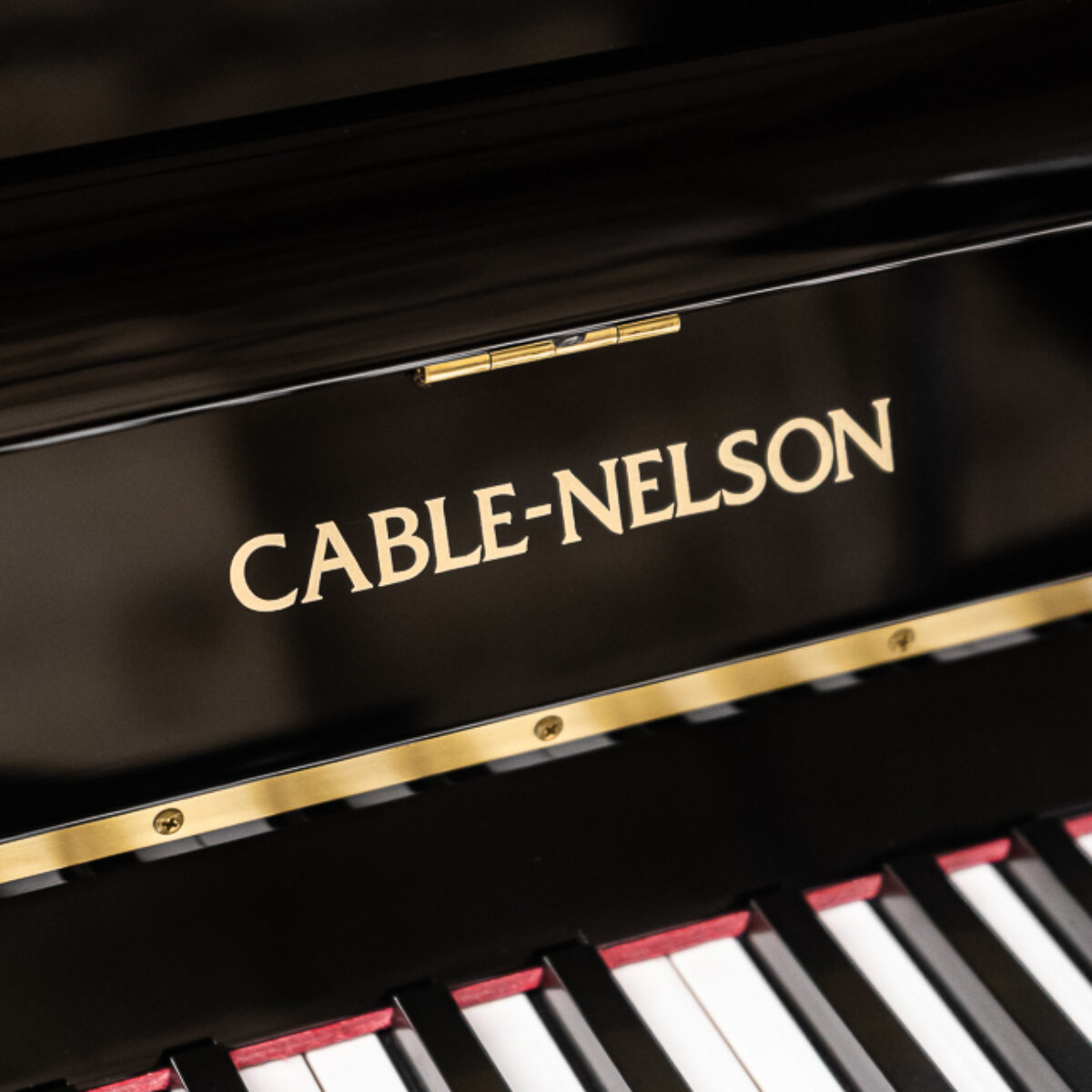 Cable Nelson CN116 Upright