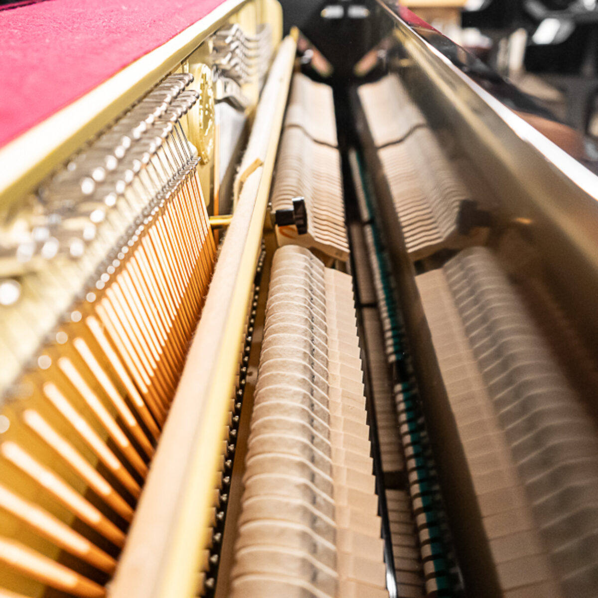 Cable Nelson CN116 Upright