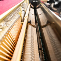 Cable Nelson CN116 Upright