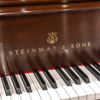 Steinway & Sons M Grand