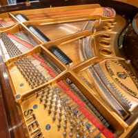 Steinway & Sons M Grand