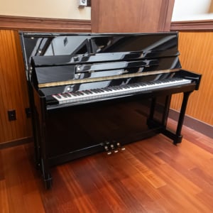 Image forRitmuller UP110 R2 Upright
