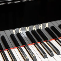 Yamaha GC1 Grand