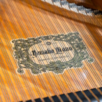 Yamaha GC1 Grand