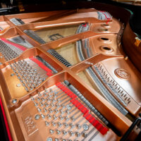 Yamaha GC2 Grand