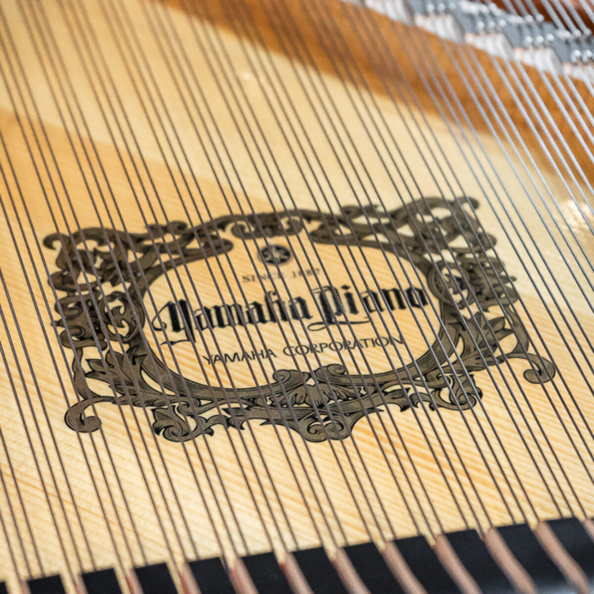 Yamaha GC2 Grand
