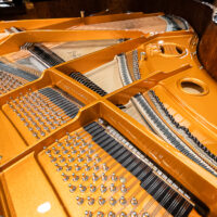Schimmel C169 Grand