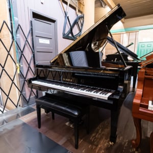 Image forYamaha G1 Grand