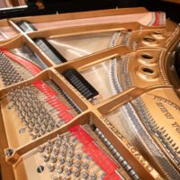 Steinway & Sons L Grand