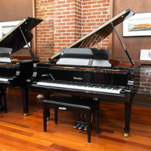 Image forRitmuller RS150 Grand