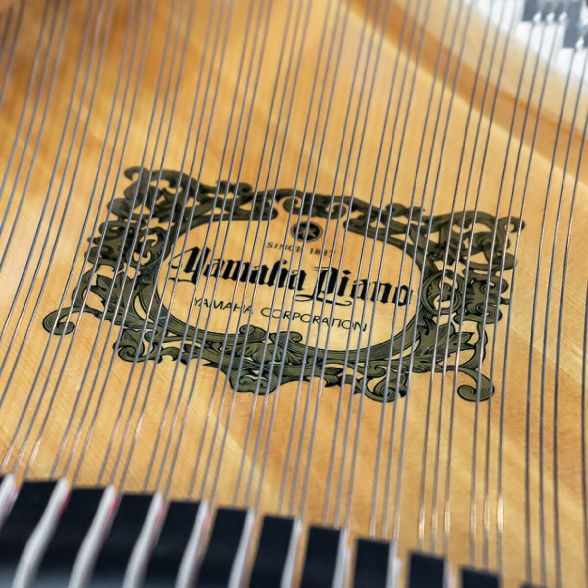 Yamaha GB1K SC2 Grand with Silent Option