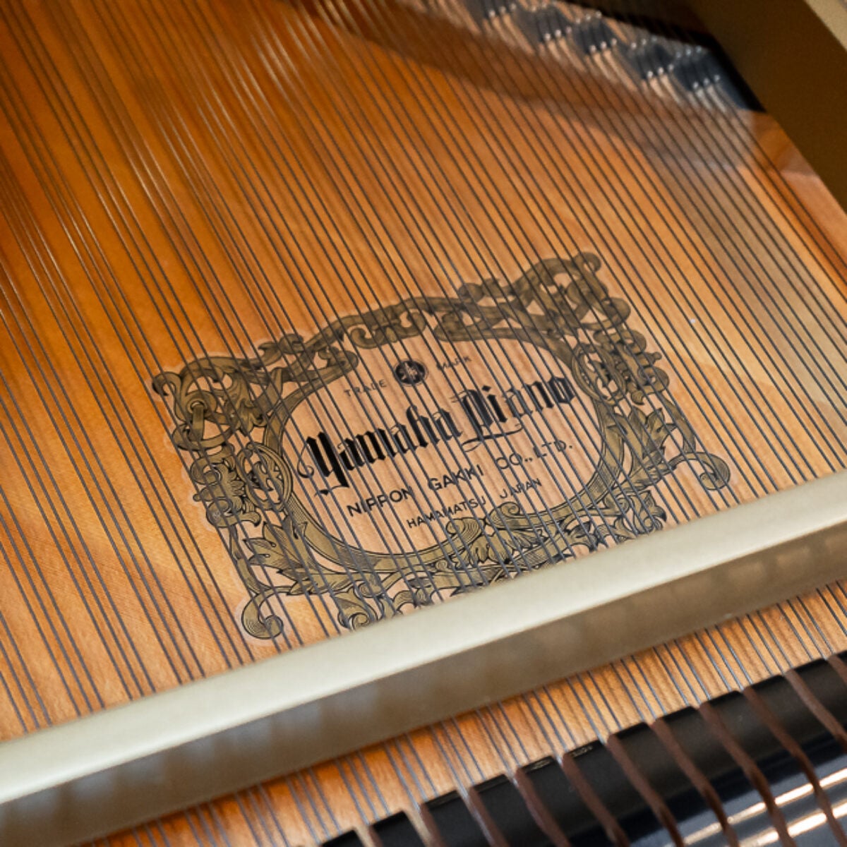 Yamaha C3 Conservatory Grand