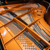 Schimmel W-180 Grand
