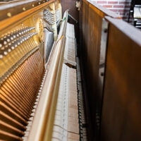 Yamaha WX-1 Upright