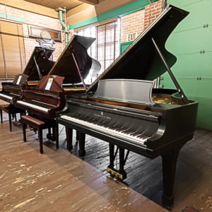 Image forSteinway & Sons B Grand
