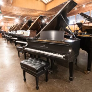 Image for Steinway & Sons A