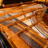 Bosendorfer 225 Grand