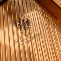 Bosendorfer 225 Grand