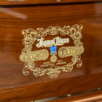 Kawai NS-15 Upright