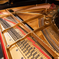 Steinway & Sons Model B Grand