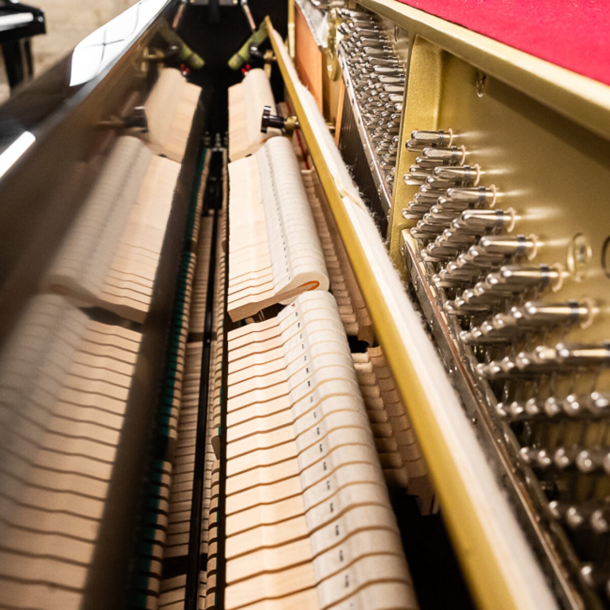 Cable Nelson CN116 Upright