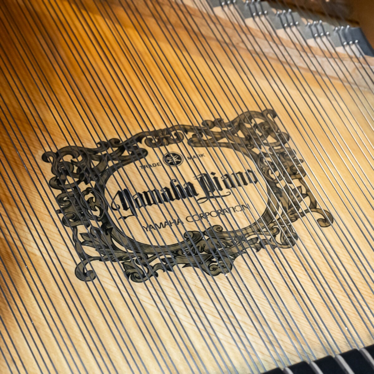 Yamaha C1