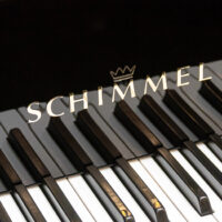 Schimmel C175