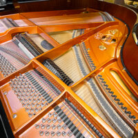 Schimmel C175