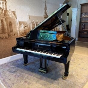 Image for Steinway & Sons Model D Concert Grand