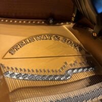 Steinway & Sons Model D Concert Grand