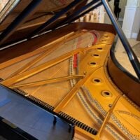 Steinway & Sons Model D Concert Grand