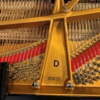 Steinway & Sons Model D Concert Grand