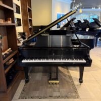 Steinway & Sons grand piano showcasing polished ebony finish and distinctive craftsmanship, perfect for any musician's collection.
