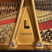 Steinway & Sons Model L Grand