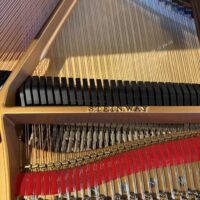 Steinway & Sons Model S Grand