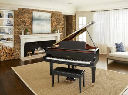 Image for How Much Does a Grand Piano Cost?