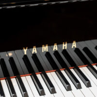 Yamaha C5